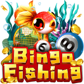 Robinson R88 Câu Cá Bingo